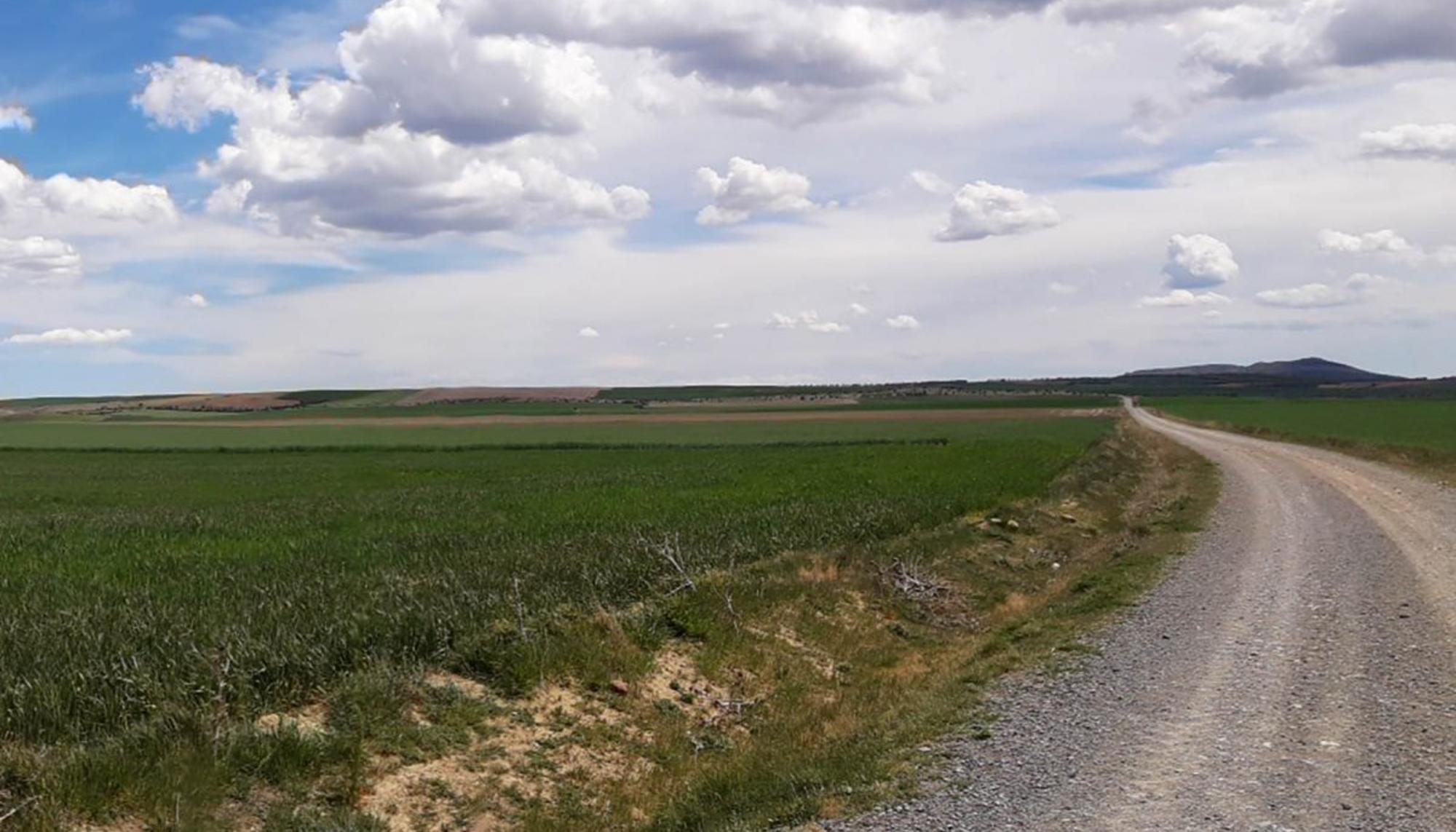Soria